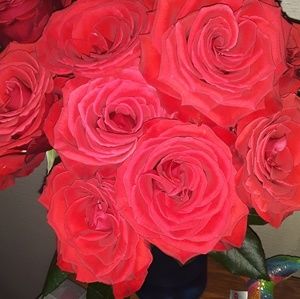 Meet your Posher, Hailey